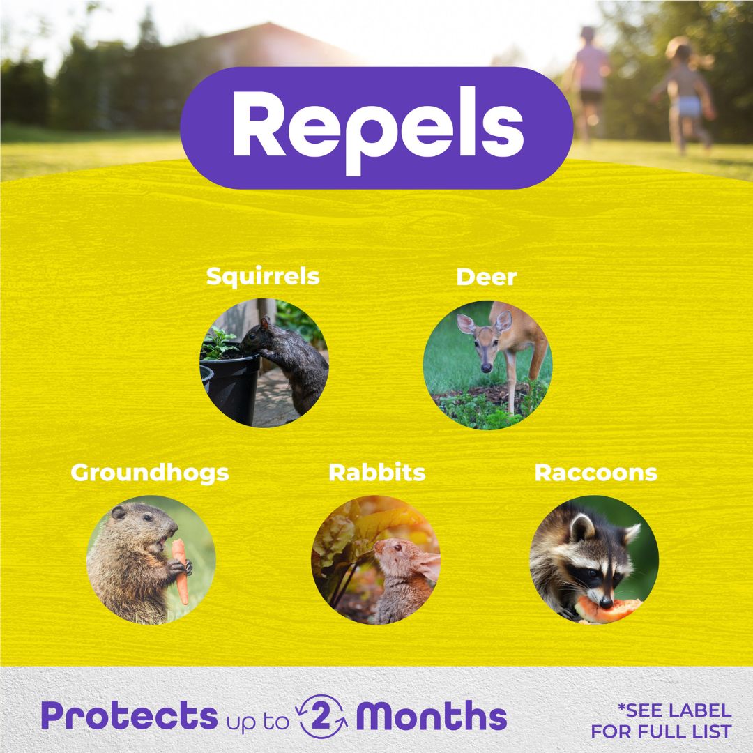 Repels-All Animal Repellent Granules – Bonide – 1.25 lb